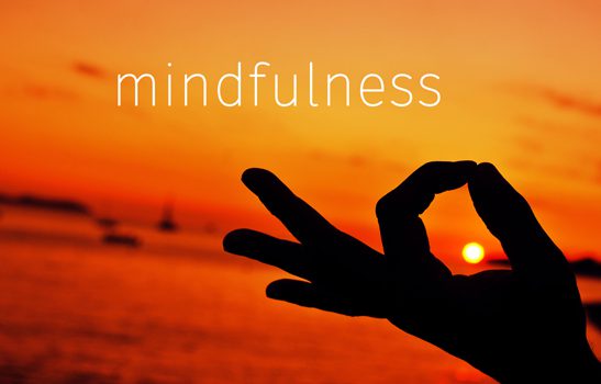 Mindful Meditation